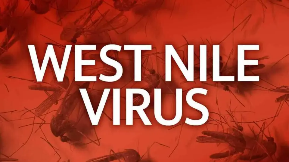 First West Nile virus deaths of 2026 recorded in California's Central Valley