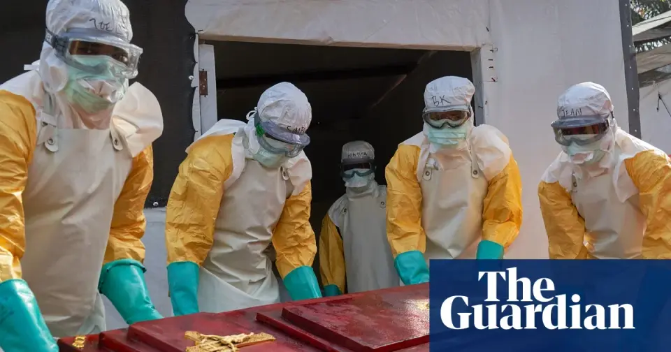What we still need to learn about Ebola’s animal origins to stop the next outbreak