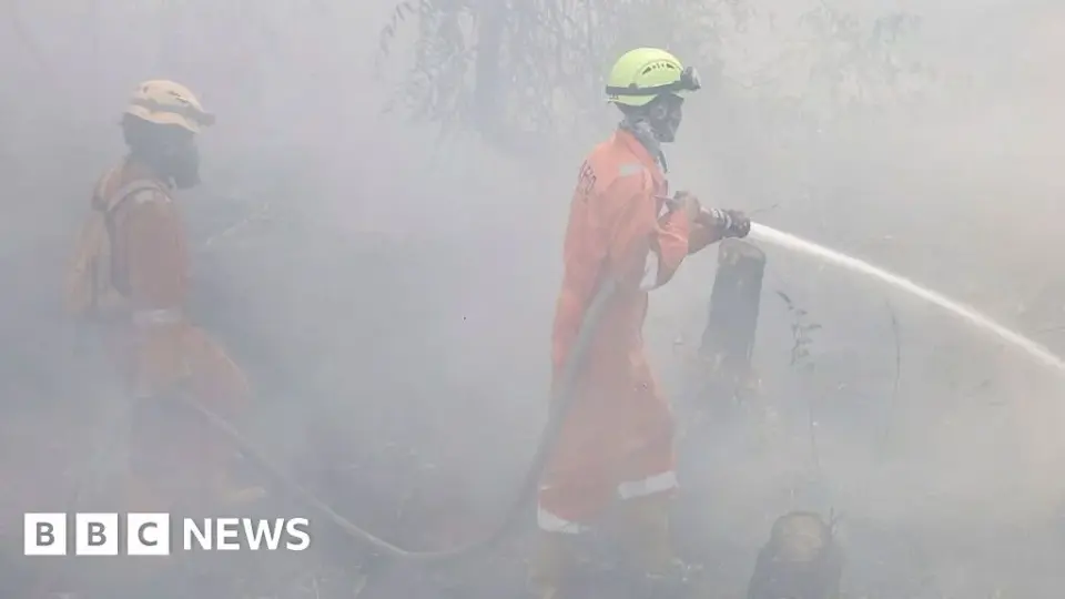 Indonesia's 'Godzilla' El Niño drives 175,000 respiratory cases as fires burn 895,000 hectares