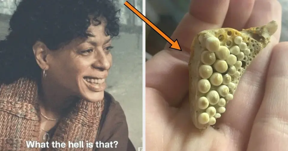 Internet Sleuths Crack 47 Mysterious Objects Found Online