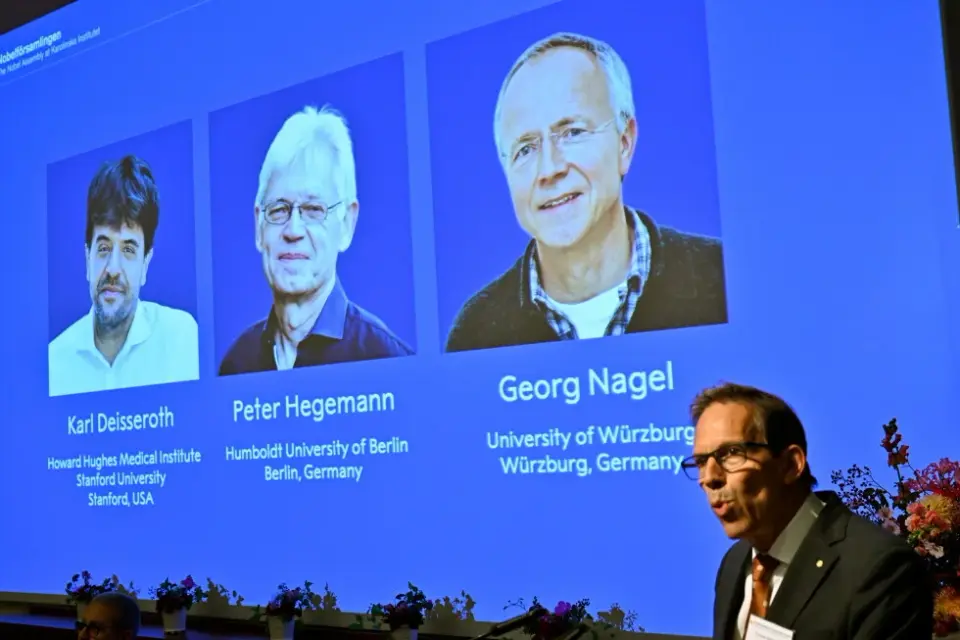 Nobel Prize in Medicine Awards Optogenetics Pioneers for Brain Mapping