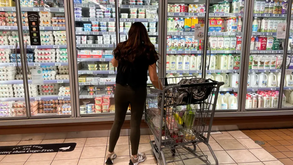 Grocery Bills Push Americans Toward Borrowing and Belt-Tightening