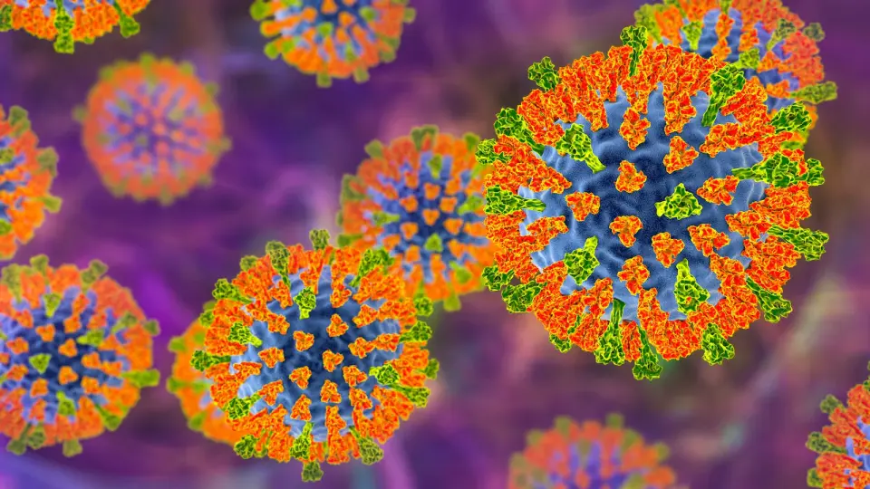 Pennsylvania Measles Outbreak Hits 1,004 Cases, Becoming Largest U.S. Surge in 30 Years