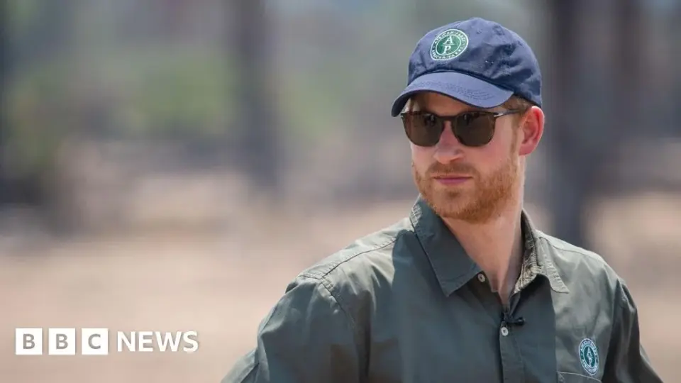 Harry steps back from African Parks board amid safeguarding concerns