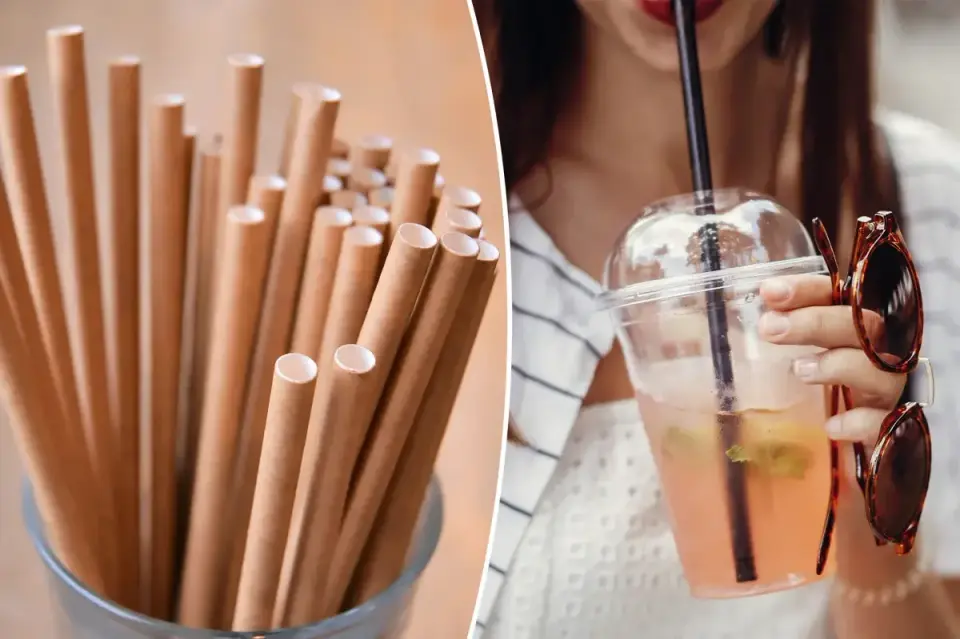 South Korean study finds paper straws have higher environmental footprint than plastic