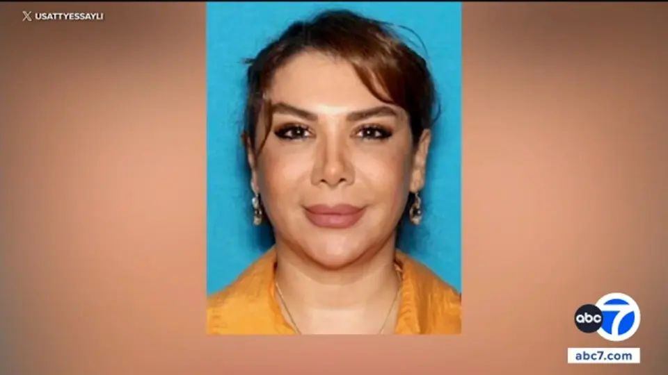 LAX Arrest Ties Woodland Hills Woman to Iran-Linked Arms Trafficking