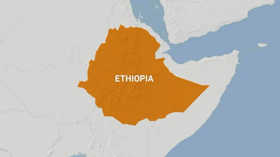Ethiopian Rebel Groups Unite in 'Alliance for Survival' to Overthrow Abiy Ahmed