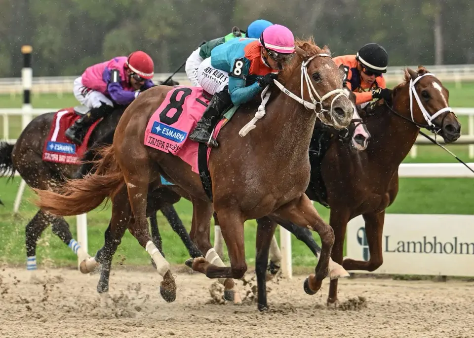Puma Withdrawn From Kentucky Derby Over Leg Swelling