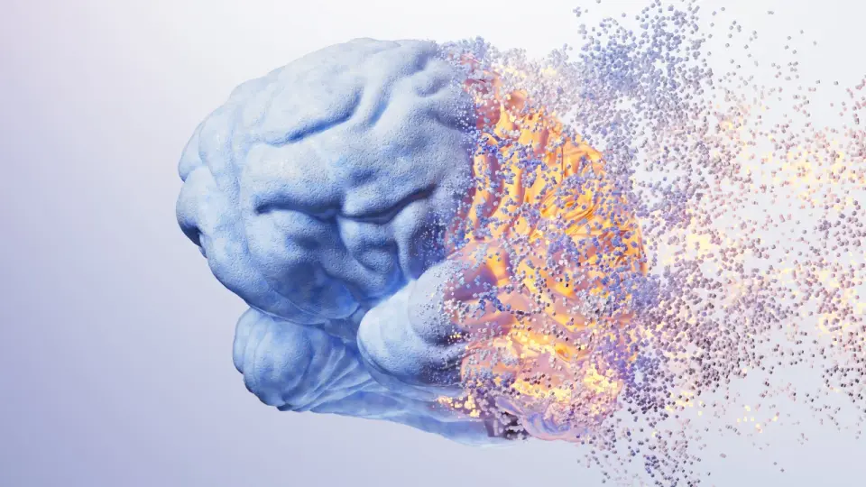 Alcohol Triggers Brain Immune Cells to Destroy Structural Support, Study Finds