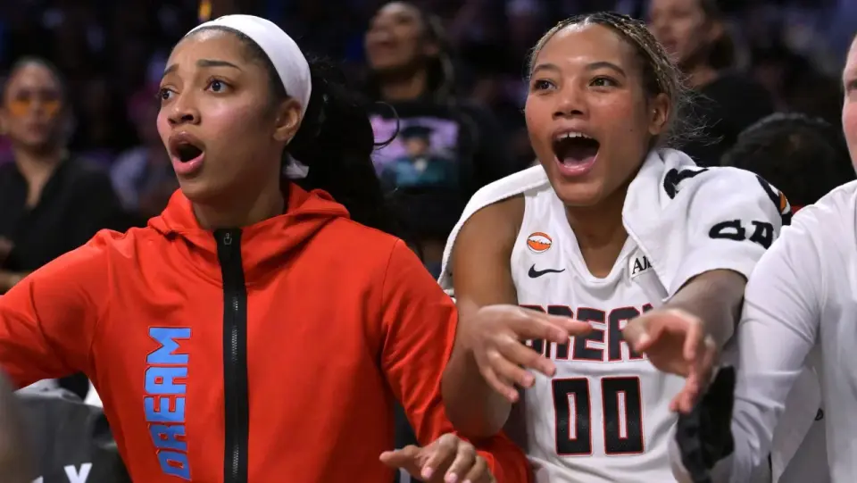 Dildo-Thrower Arrest Sparks WNBA Ban Across Leagues