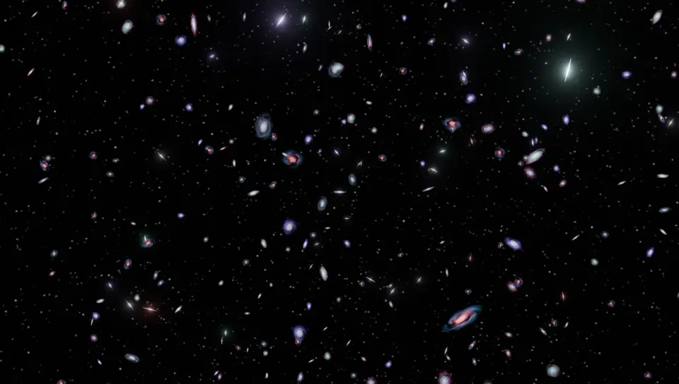Milky Way and Local Group Ride the Cosmic Tug-of-War Between Mass and Void