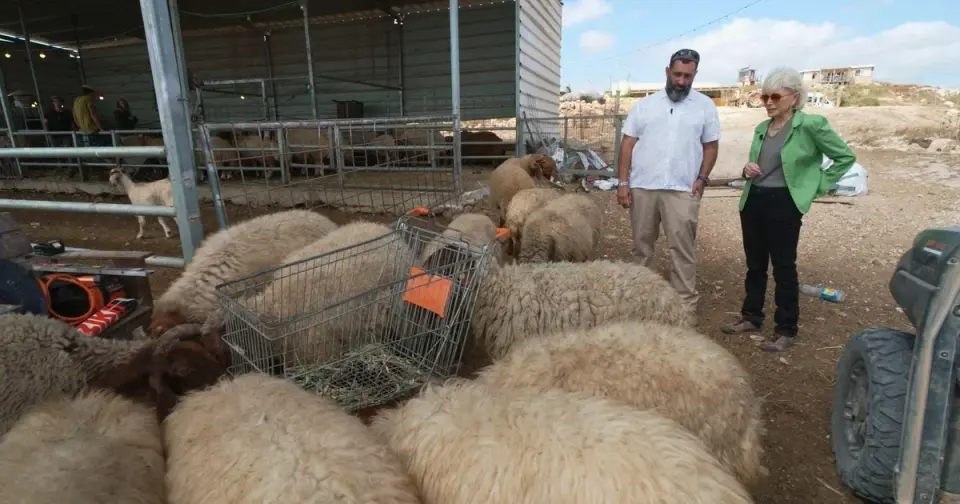 Sheep Farms and Armed Outposts: The Escalating Dispossession of West Bank Palestinians