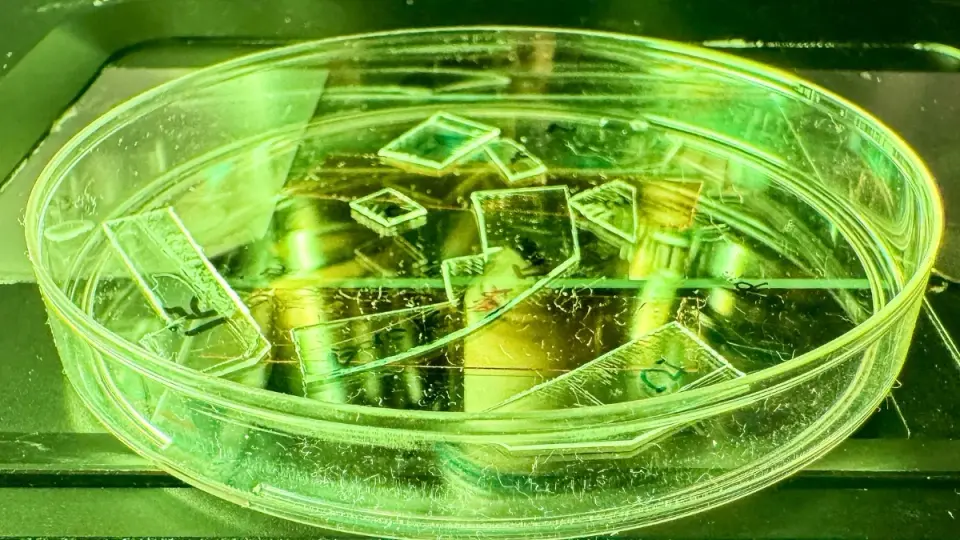 Virus-Rupturing Nano-Pillar Film Gives Surfaces a Chemical-Free Defense