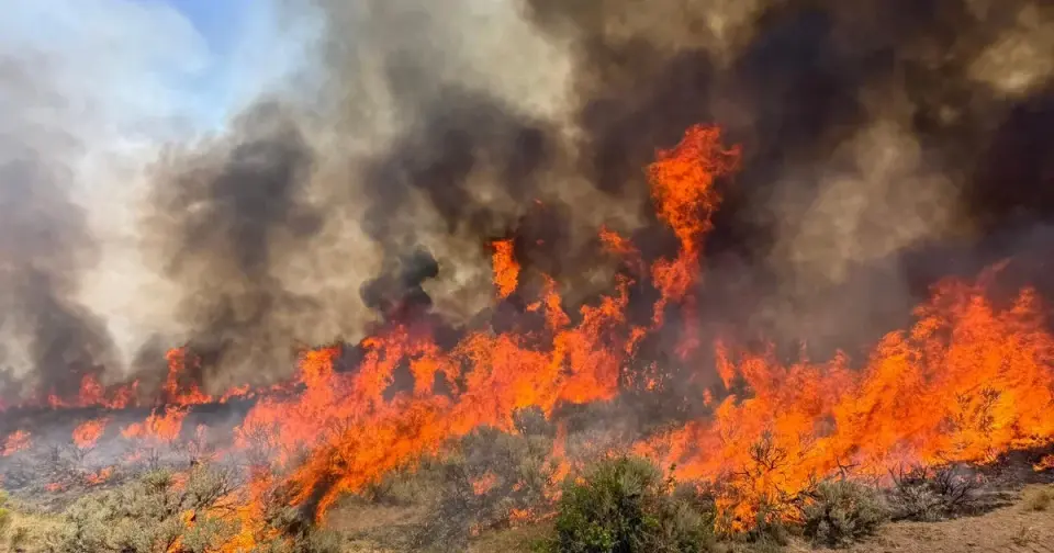 2026 Climate Report: Earth's Vital Signs Hit Record Extremes Amid Accelerating Warming