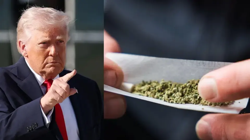 US set to reclassify marijuana amid Axios briefing