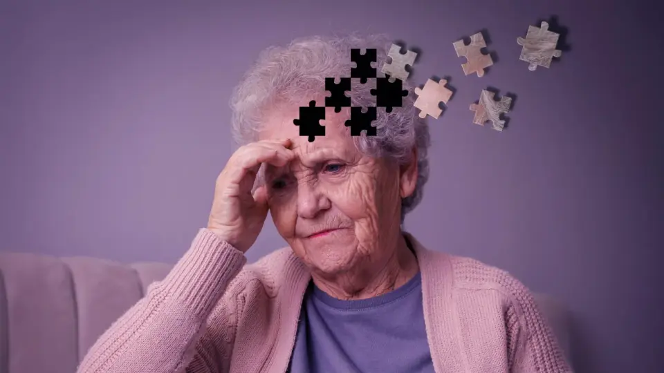 Aging brains suffer protein traffic jams that raise Alzheimer’s risk, Stanford study finds