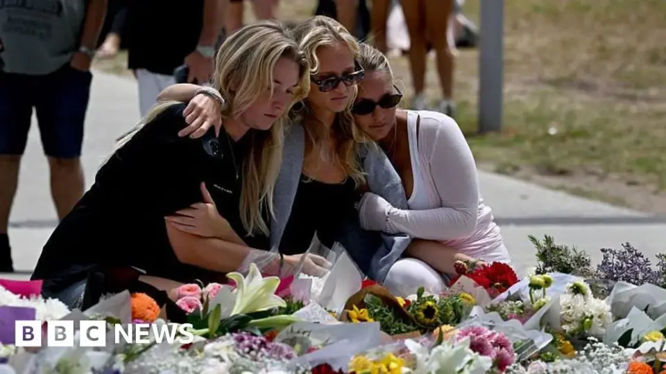 Antisemitism inquiry pushes gun reform after Bondi Beach attack