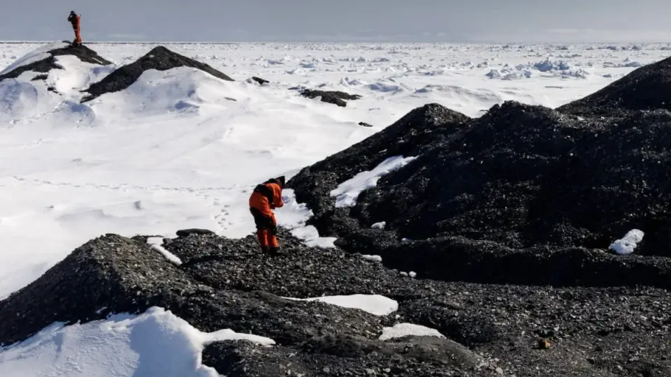 Arctic Icebergs Seed Hidden Coral Gardens on the Seafloor