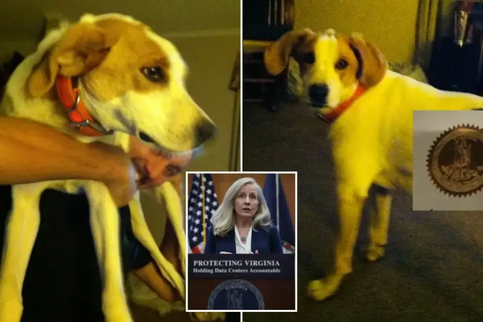 Virginia Rights Restoration Blunder: Dead Dog 'Biscuit' and 'Betty No Last Name' Spark Audit Demands