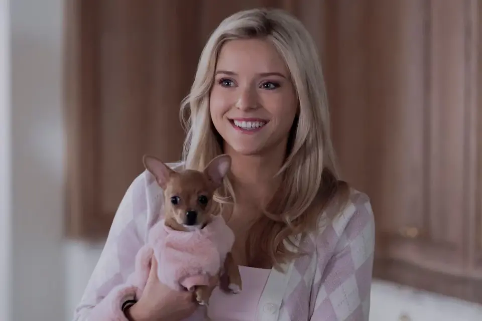 Elle prequel on Prime Video fails to spark, critics say