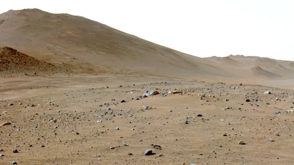 Martian rock at Bright Angel carries surface carbon; origin remains unclear