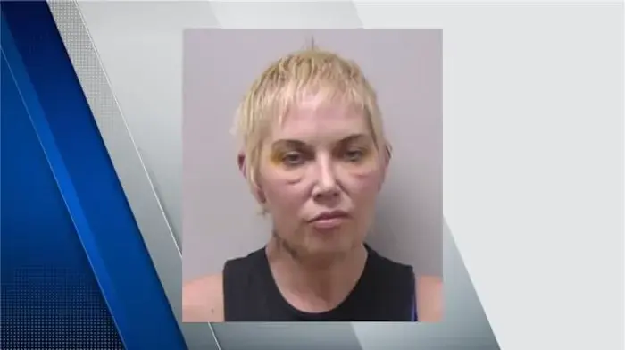 Eminem’s ex-wife pleads no contest in Michigan hit-and-run case