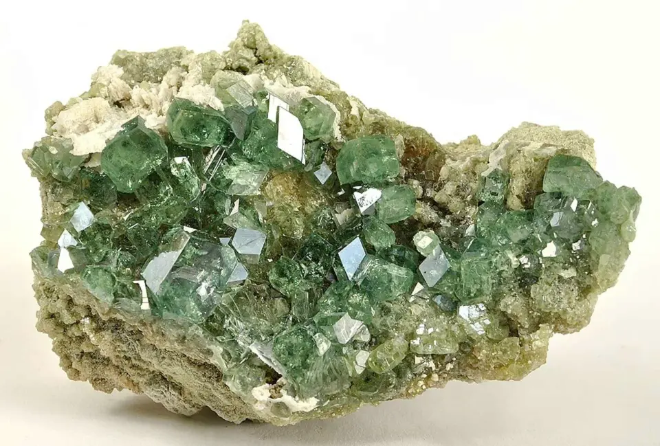 Garnet-Bearing Martian Meteorite Unveils a New Rock Type