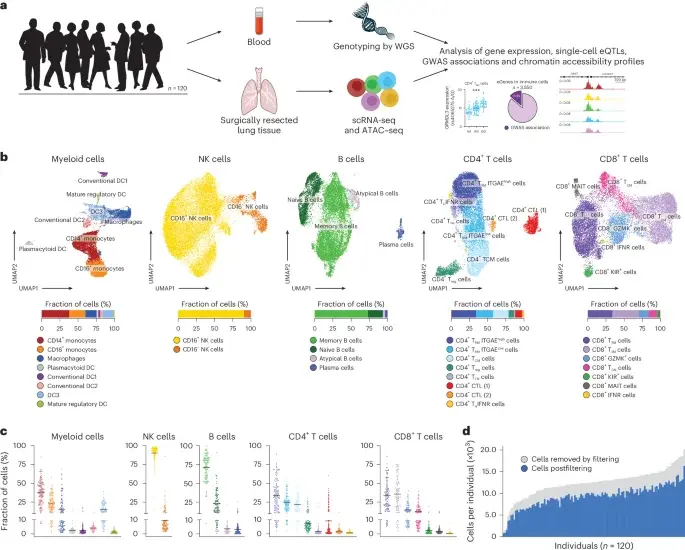 Lung-resident immune cells reveal hidden genetic drivers of autoimmune and lung diseases