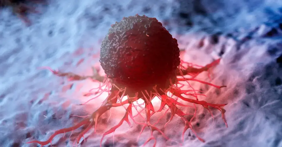 Adelaide Researchers Use Smart Nanoparticles to Reprogram Tumor Immune Cells