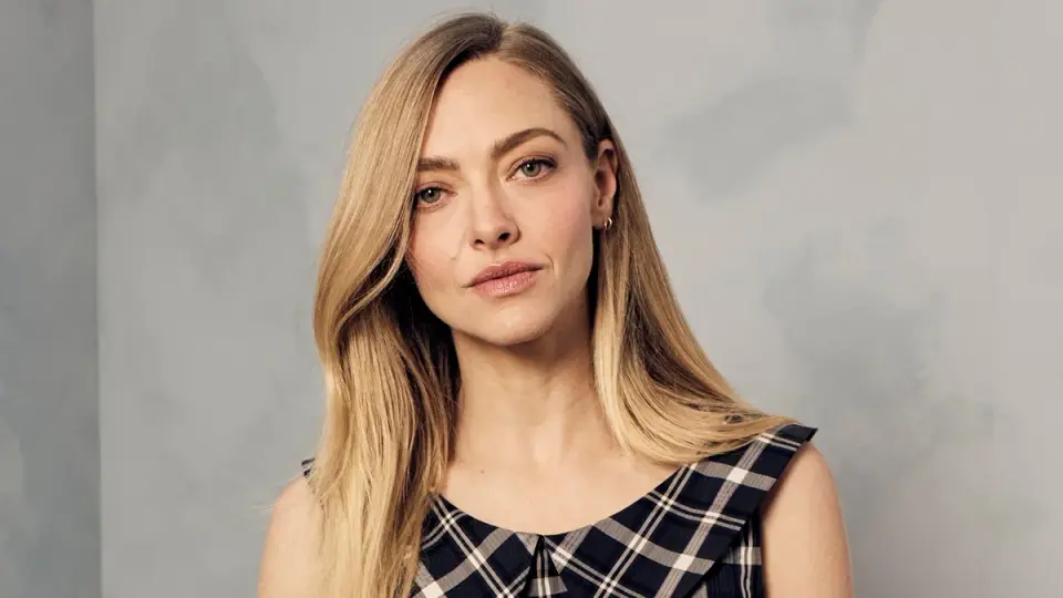 Amanda Seyfried Mocks Own Vague Gala Interview in Viral Instagram Comment