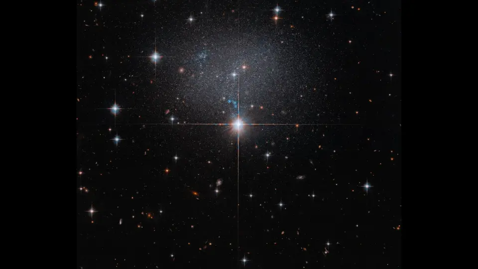 Hubble captures a glittering swarm in a tiny irregular galaxy