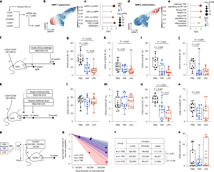 Human blood stem cells carry a lasting memory of inflammatory stress