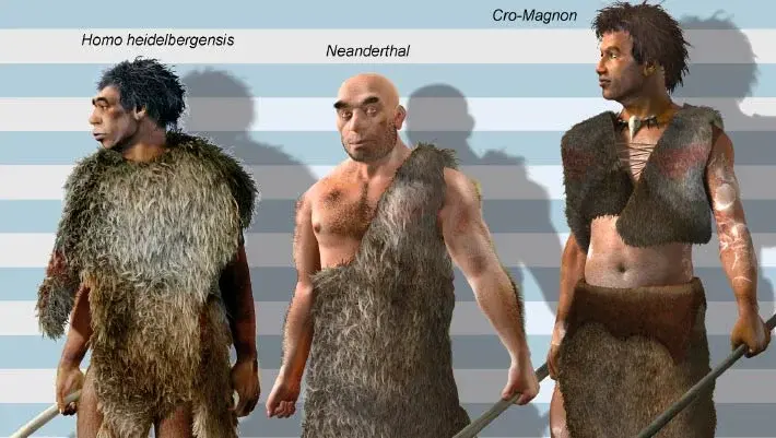 Late-Stage Size Jump in Homo Rewrites Hominin Growth Story