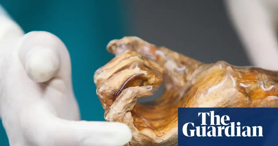 Ancient Yeast from Ötzi Sparks Sourdough and Beer Experiments