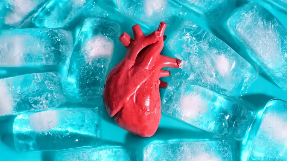 Crack-Free Freezing Brings On-Demand Organs Closer