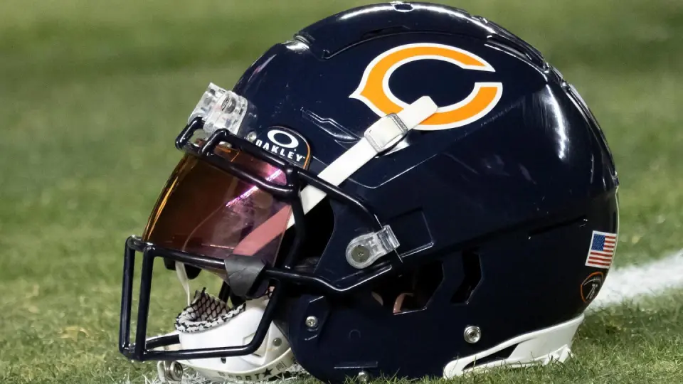 Illinois Eyes Local Stadium Authorities to Keep Bears From Moving to Indiana