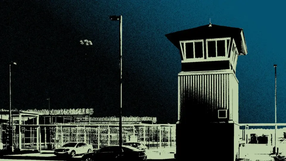Tennessee halts executions after Christa Pike survives double lethal injection