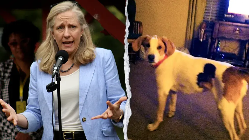 Virginia Dog Biscuit’s Voting Rights Restoration Sparks Audit Demand