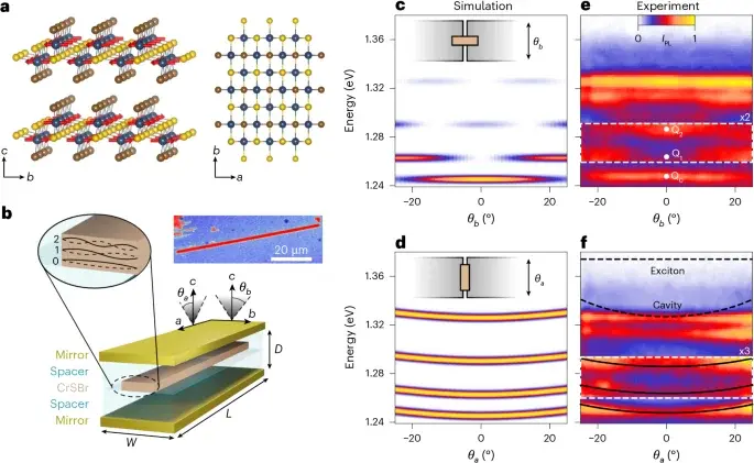 Magnetic Field Tuning of Exciton-Polariton Condensates in CrSBr Microwires