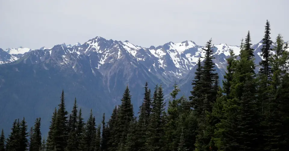 Forensic Genealogy Solves 26-Year Missing Person Case in Olympic National Park