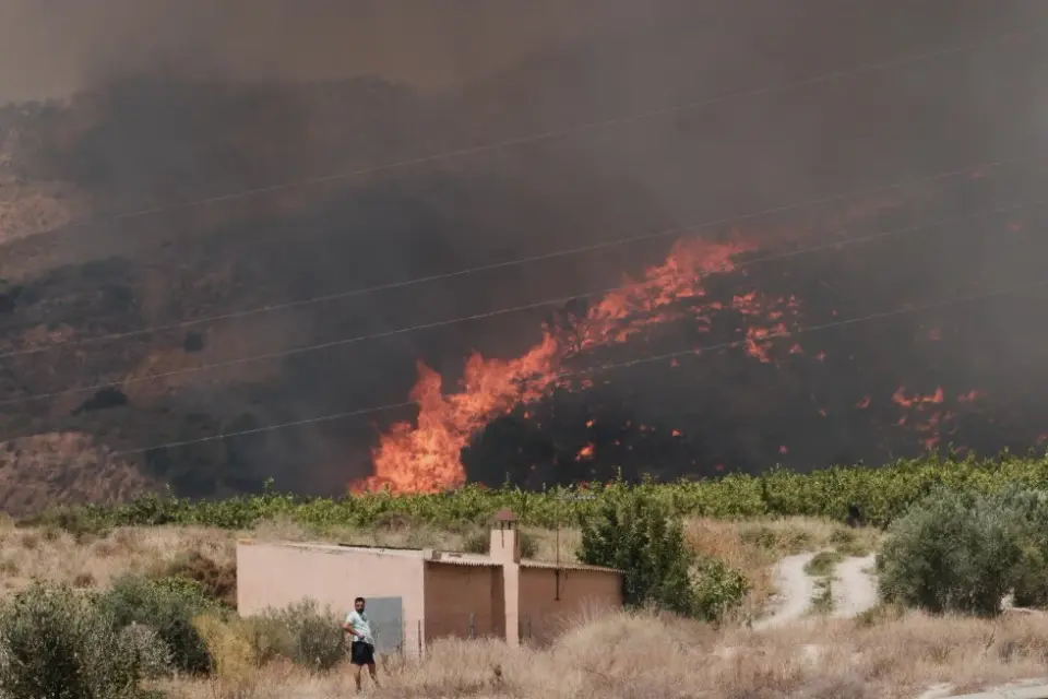 Blazing tragedy in Andalusia: 12 dead as Almería wildfires rage under heatwave