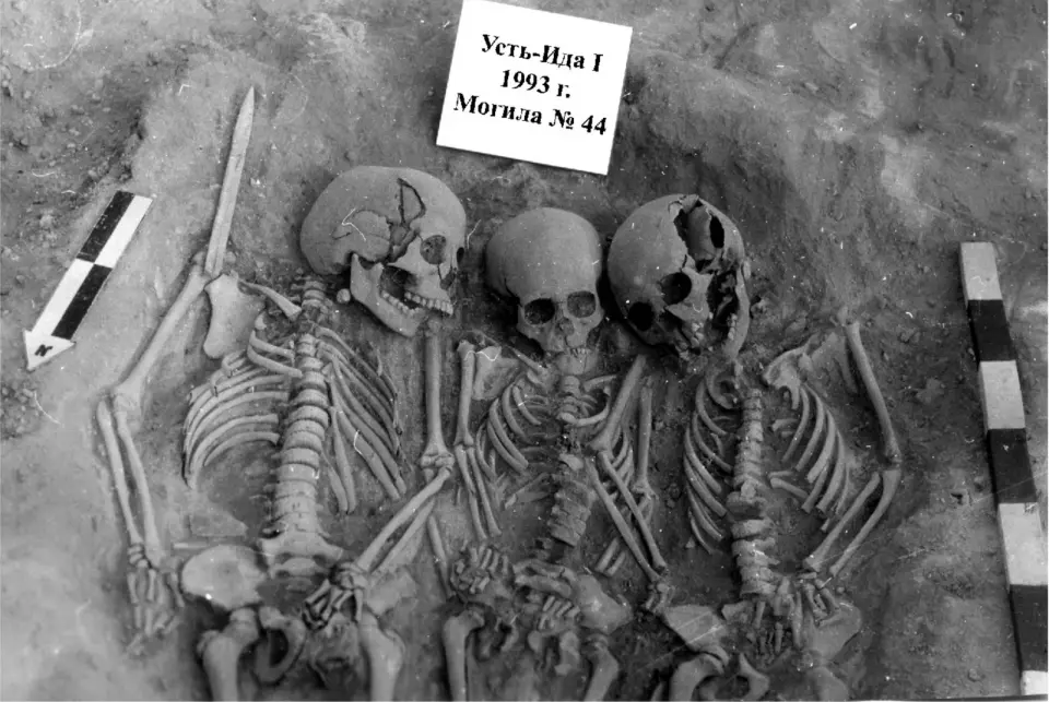 Ancient Plague May Have Triggered a 500-Year Population Drop in Neolithic Europe
