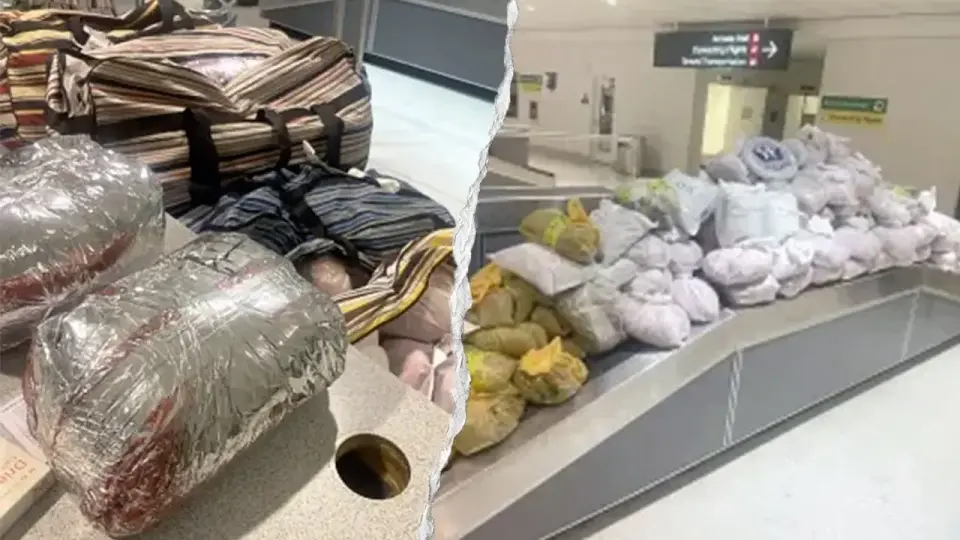 Massive khat seizure at BWI tied to two New York travelers