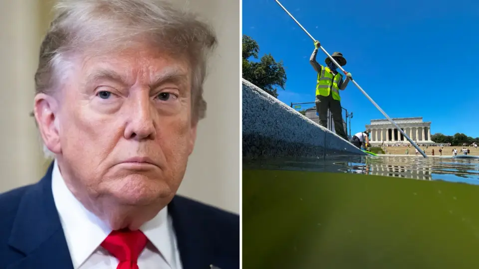 Daily Show Mocks Trump’s Reflecting Pool Vandalism Claims With Algae Exposé