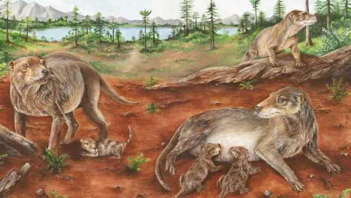 Ancient Cynodont Fossil Pushes Live Birth Deep into Mammal Lineage
