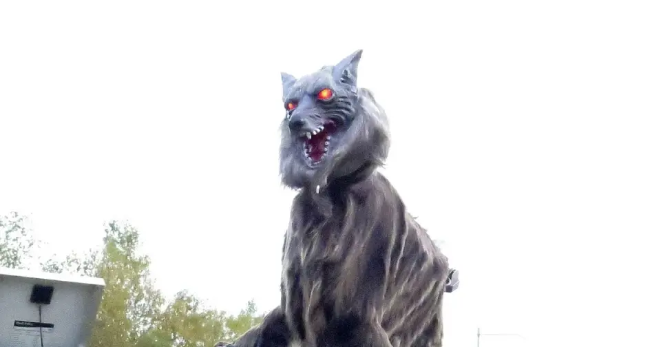 Japan bets on 'Monster Wolf' robots to scare bears after record attacks