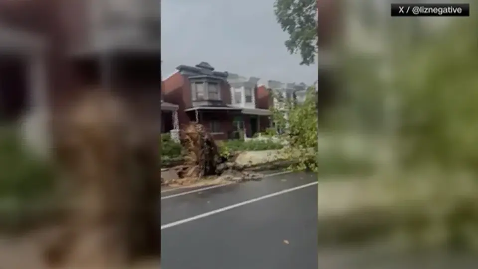 Philadelphia battered by powerful storm as trees fall and damage spreads