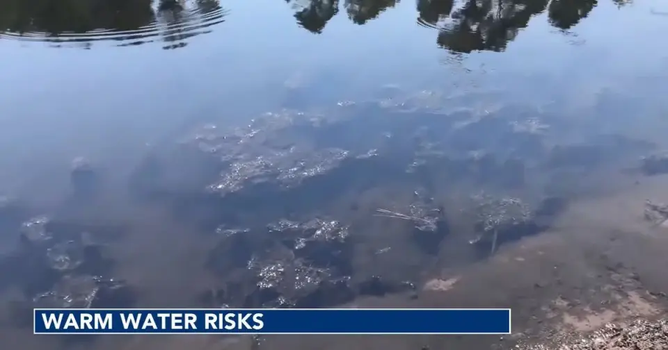 Warmer NC Waters Extend Season for Deadly Amoeba and Bacteria