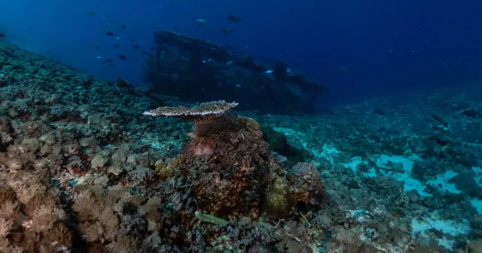 French Navy Drone Uncovers 16th-Century Wreck at Record Depth