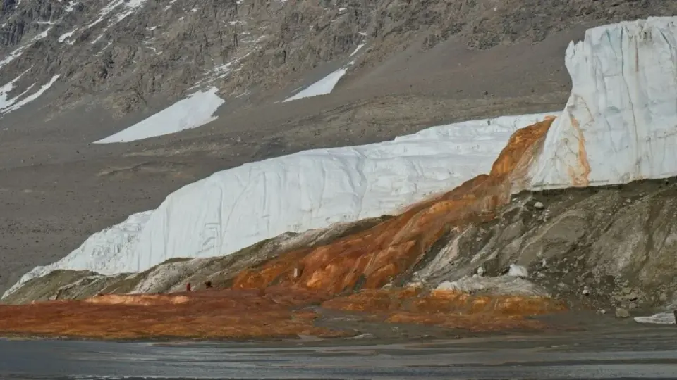 Blood Falls Reveals Ancient Marine Origins Hidden Beneath Taylor Glacier